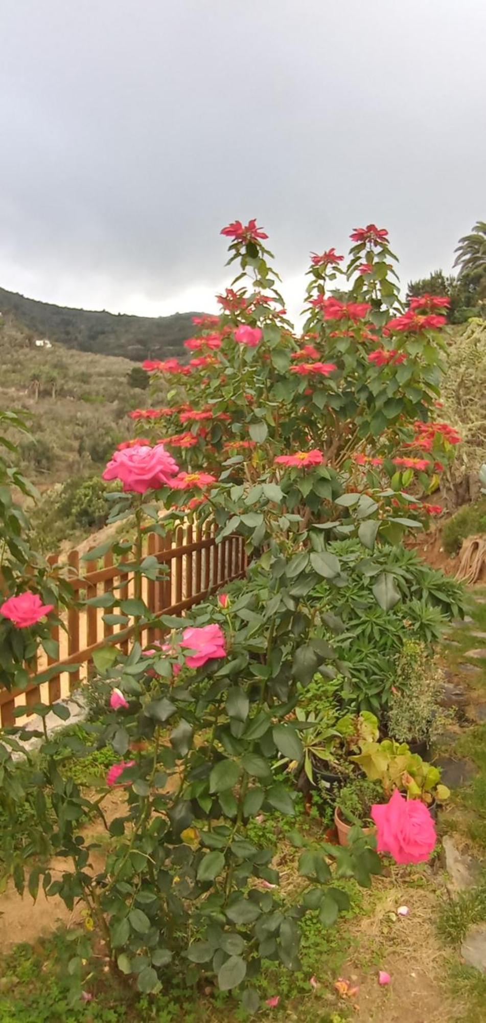 Casa Maria Villa Agulo Bilik gambar